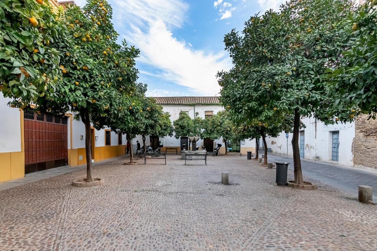 Bhost - Regina Ll Apartman Córdoba Kültér fotó